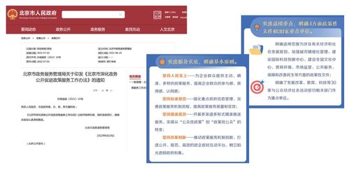 2022年北京市政府信息公开工作年度报告与信息系统集成服务的协同发展